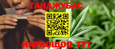 apvp Гатчина