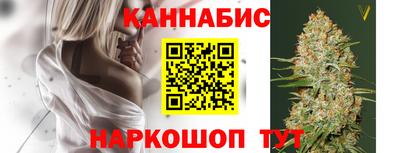 apvp Гатчина