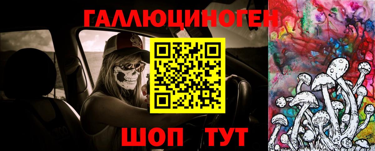 купить наркотик  Псилоцибиновые грибы прущие грибы  Галлюциногенные грибы прущие грибы  Вход с VPN  Гудермес 